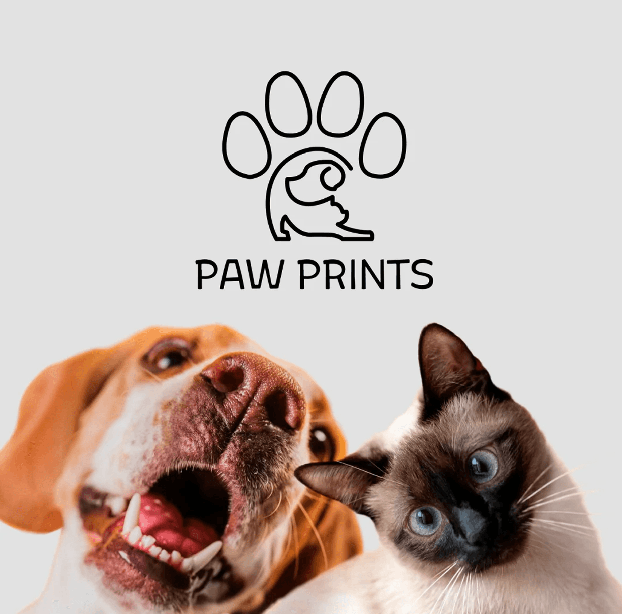 Imagen de portafolio 4